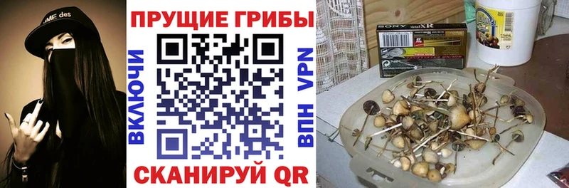 Купить где  Верхнеуральск  Псилоцибиновые грибы Psilocybine cubensis 